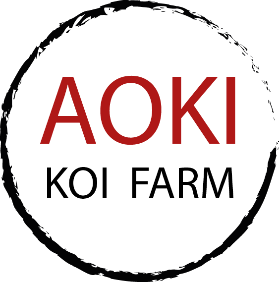AOKI