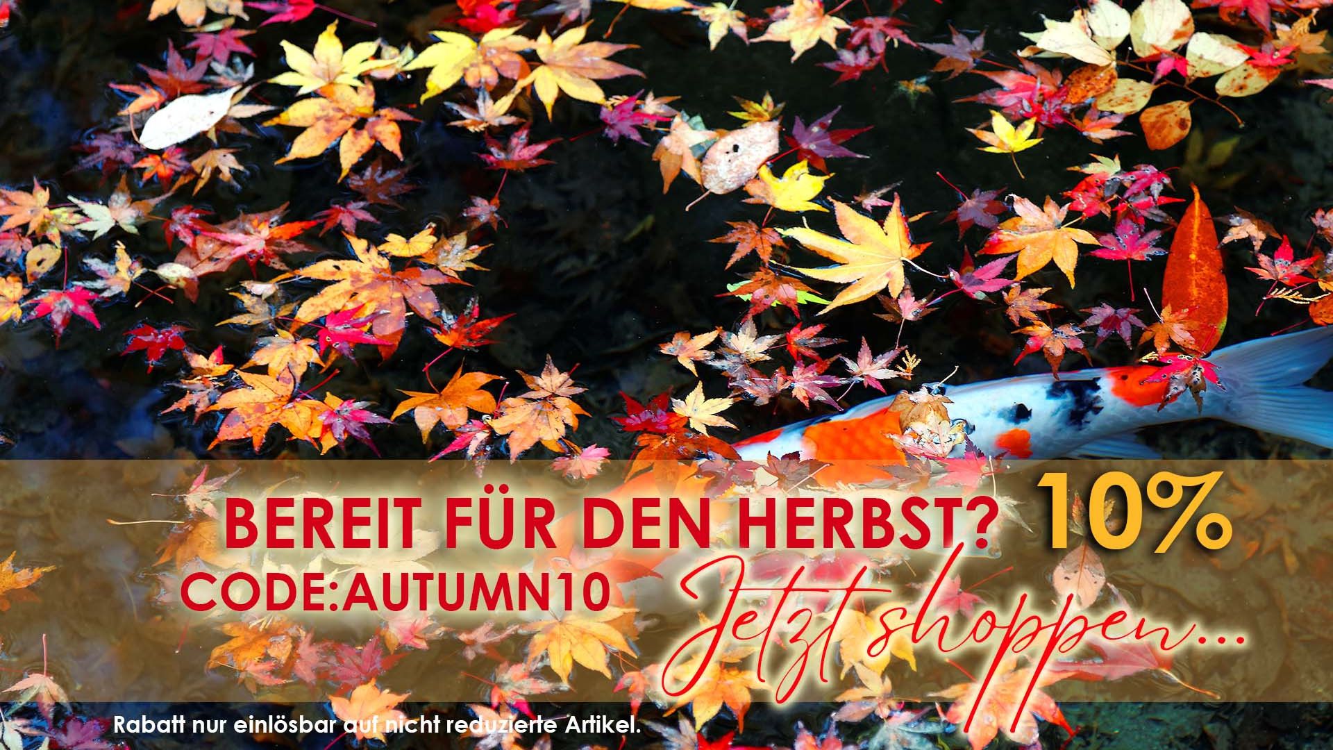 Der Koiteich im Herbst