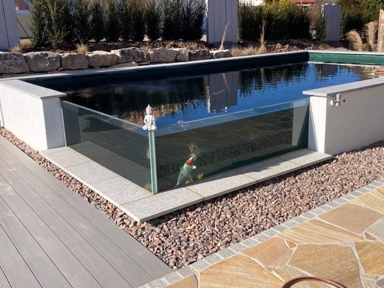 Teichscheibe 1200 x1200 x600 30mm mit VA-Rahmen und Flansche Eck-Teichfenster