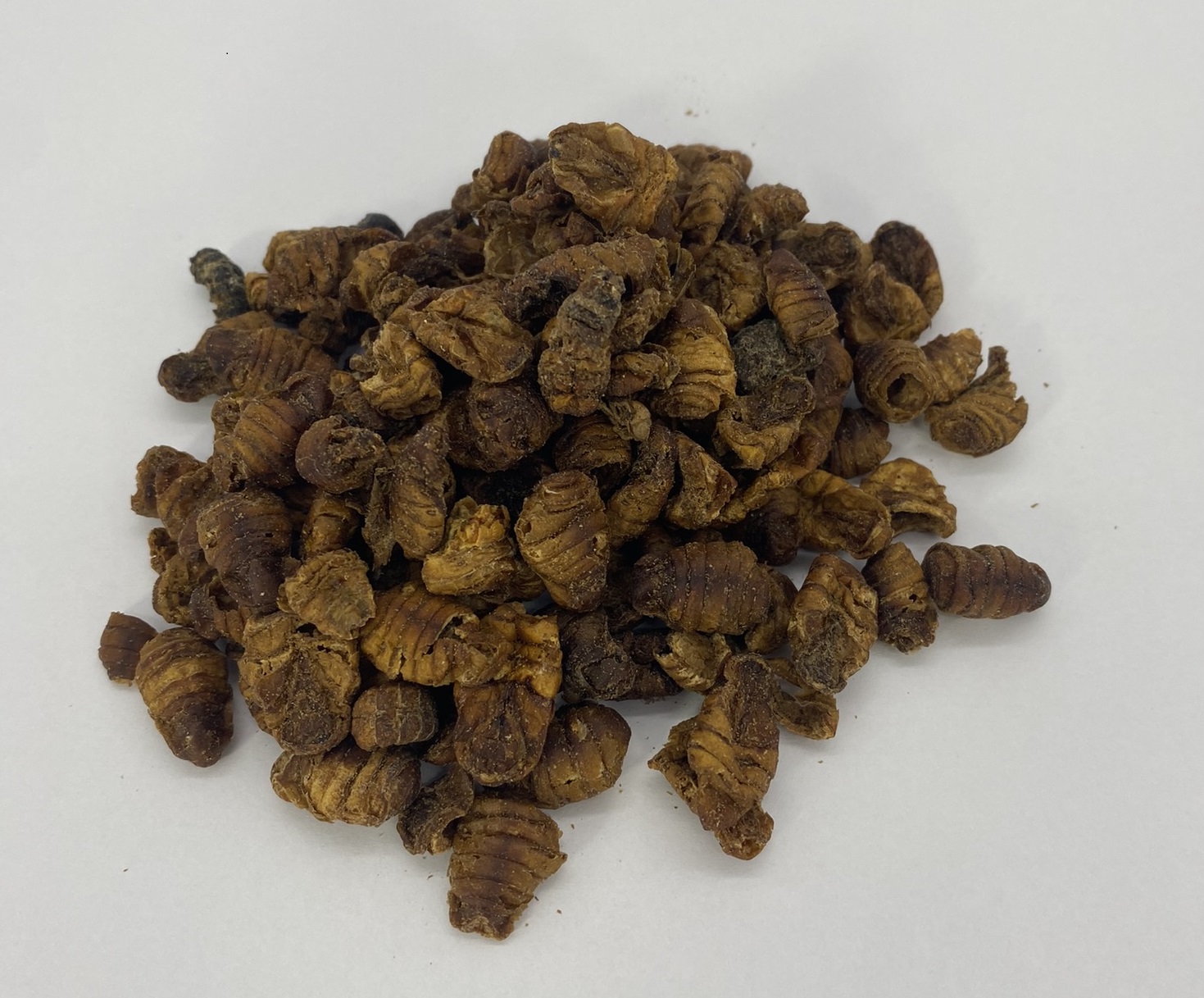 Ogata Special Seidenraupen Premium 1kg