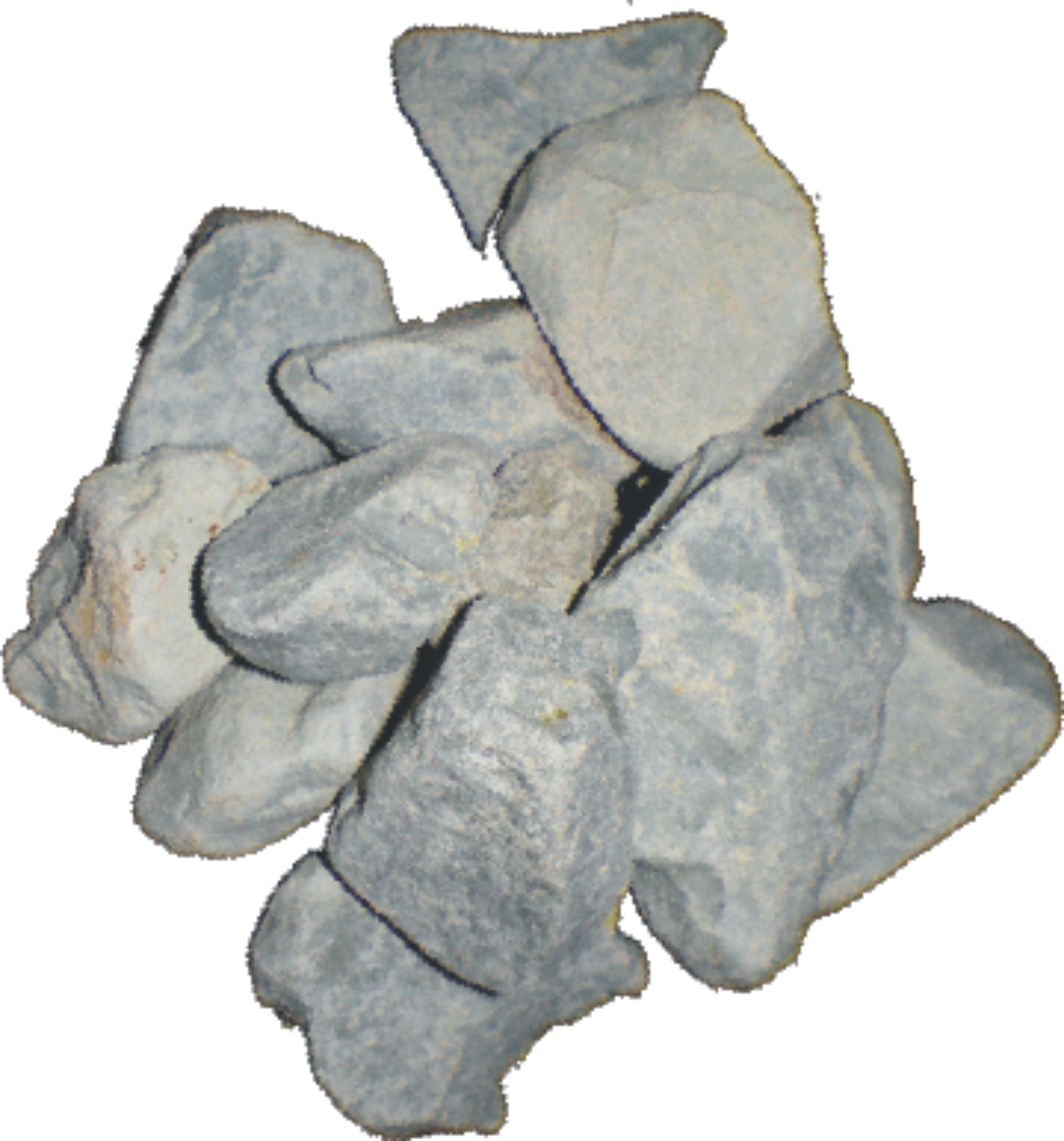 SF Zeolith 25 Liter Beutel