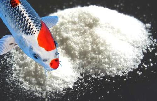 Koi-Teich Teichsalz Kochsalz NaCl 25kg jodfrei Aufsalzen gegen Parasiten Algen