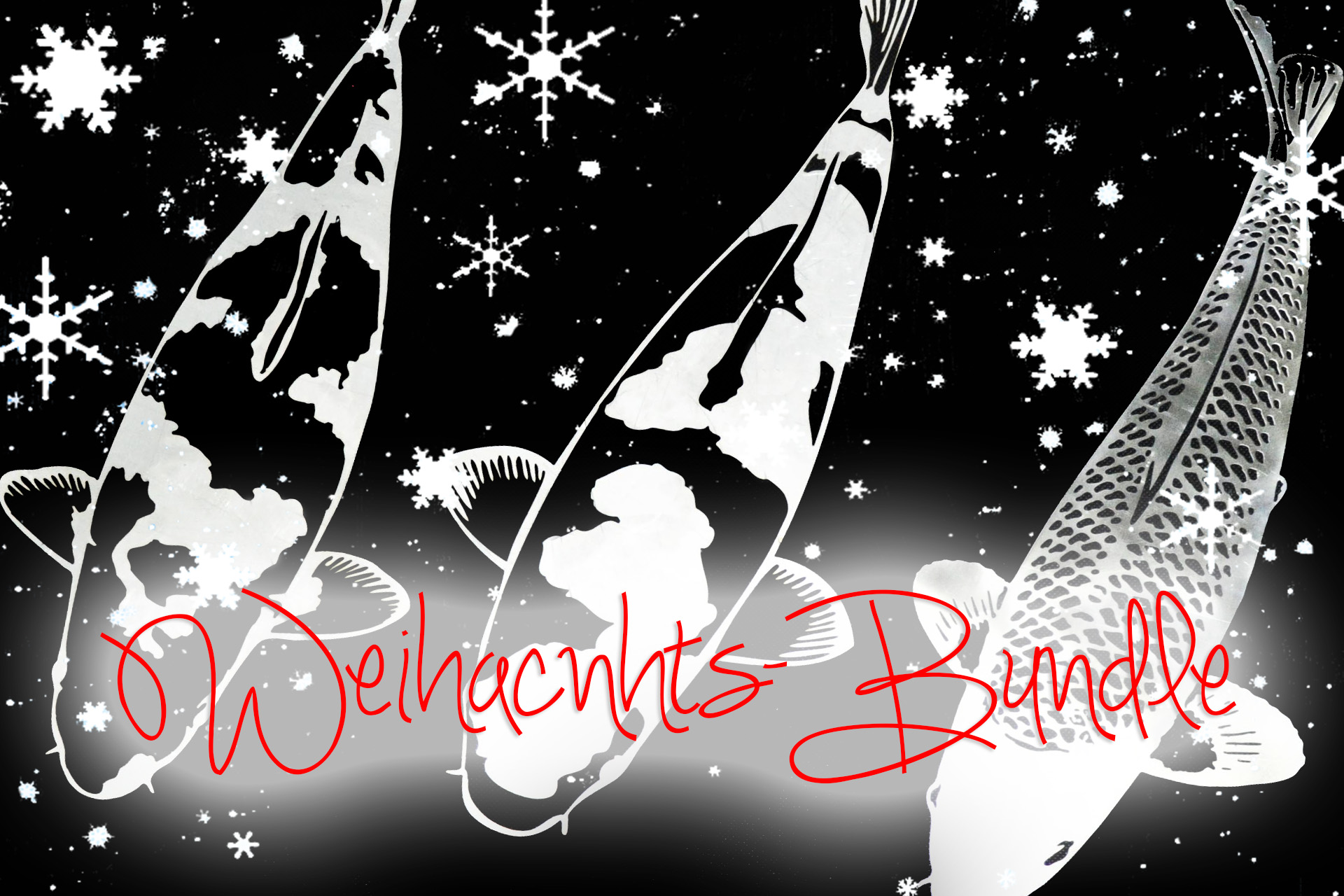 Koi Bundle aus Edelstahl